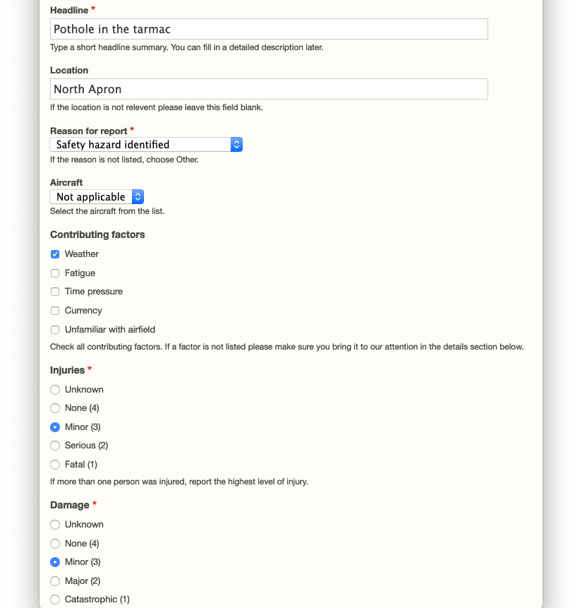 Example safety report form